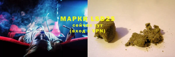 мет Алексин