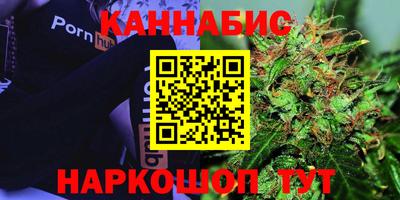 mdpv Заводоуковск