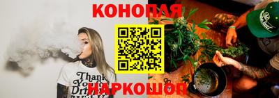 mdpv Заводоуковск