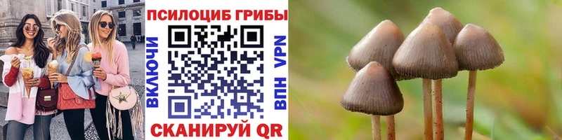 мориарти формула  Ленинск-Кузнецкий  Галлюциногенные грибы Cubensis 
