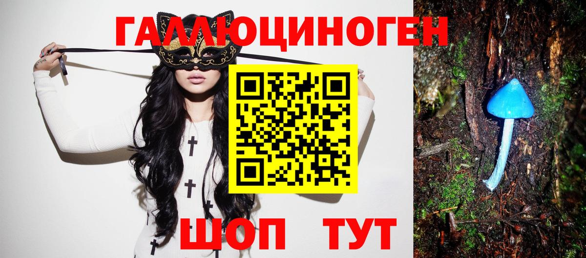 Галлюциногенные грибы GOLDEN TEACHER Ленинск-Кузнецкий